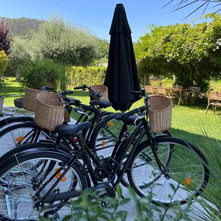 Couette-café D'aurora Country Ponte de Lima