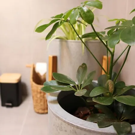 Couette-café D'aurora Country Ponte de Lima