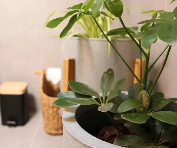 Bed & Breakfast D'aurora Country Ponte de Lima